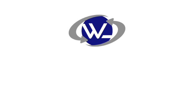 Wolff Logics Managed IT Services Company Logo